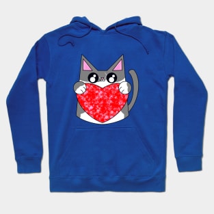 Teto The Gray And White Cat With Valentines Heart Hoodie